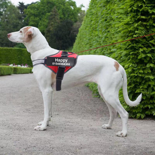 Reflective No-Pull Dog Harness
